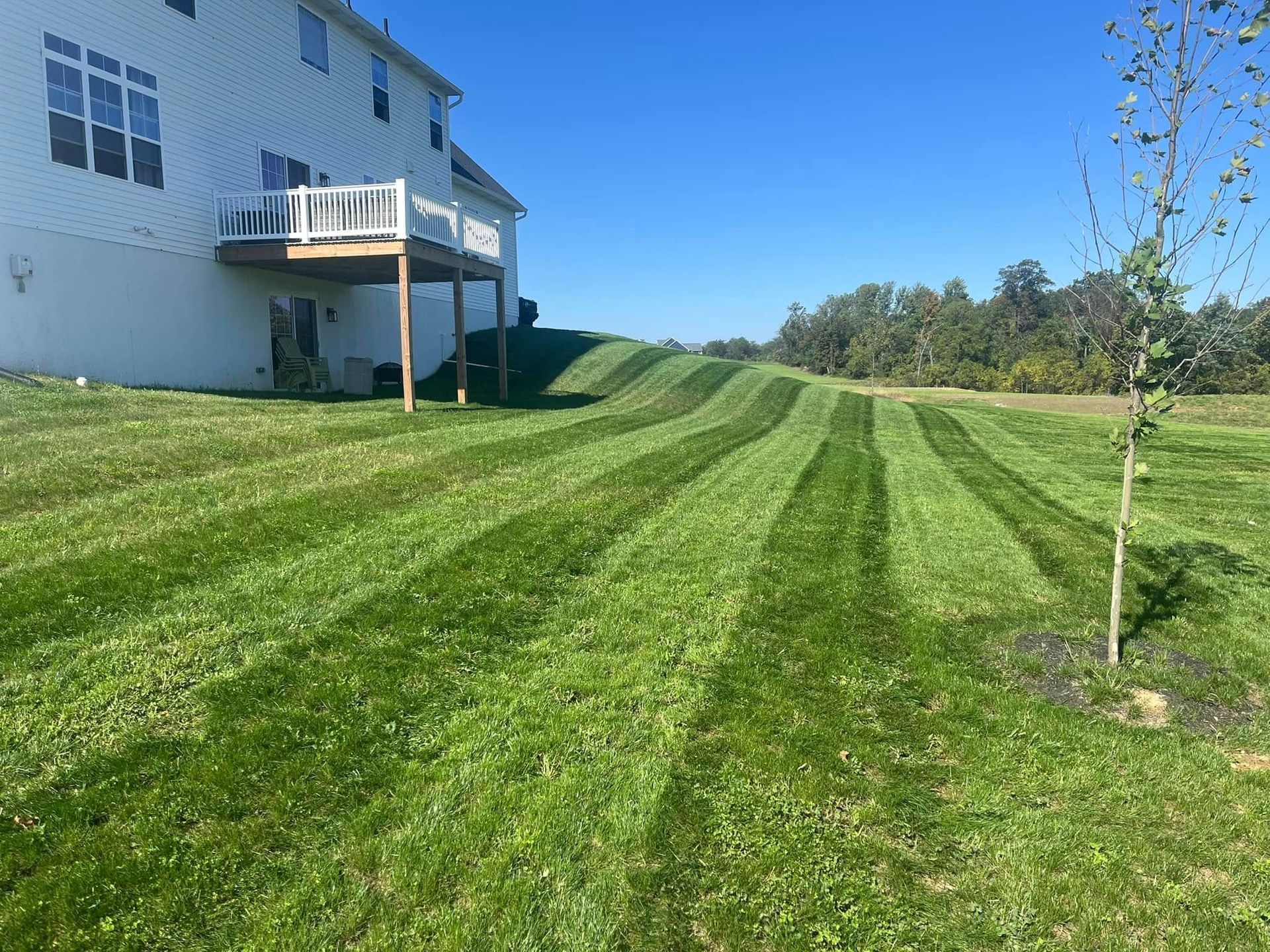 PRIMETIME lawn care and landscaping lawn services 