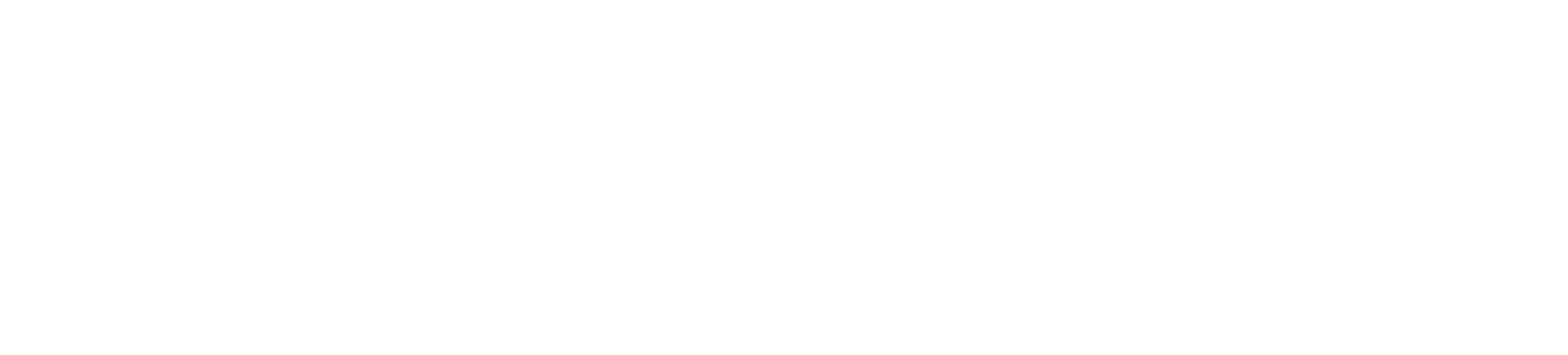 Thin horizontal gray bar on a white background, resembling a loading or progress indicator