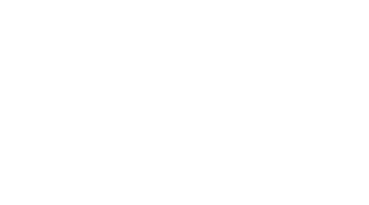 Blank white image with a thin black line along the bottom edge