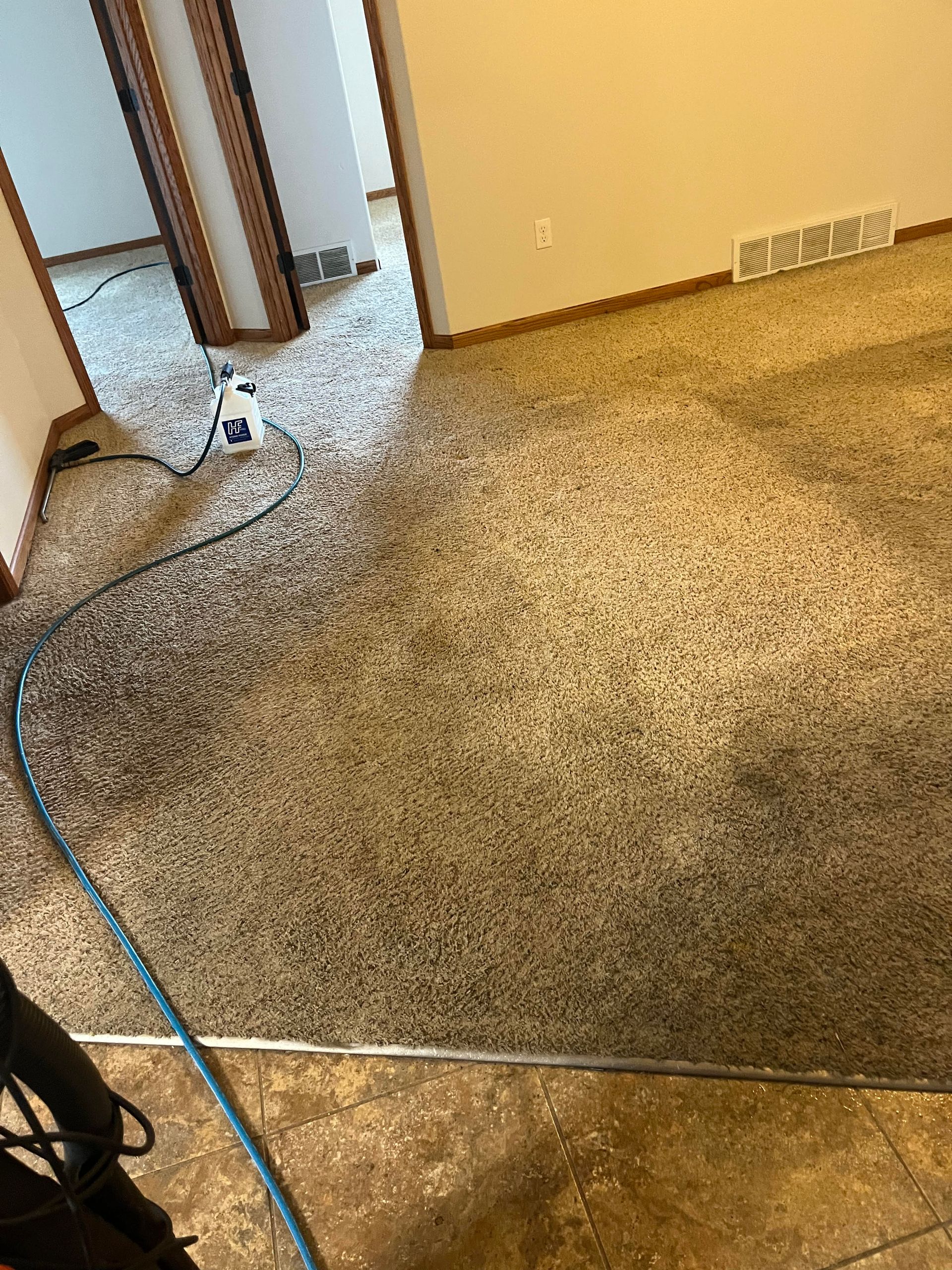 A person is cleaning a carpet in a living room with a vacuum cleaner.