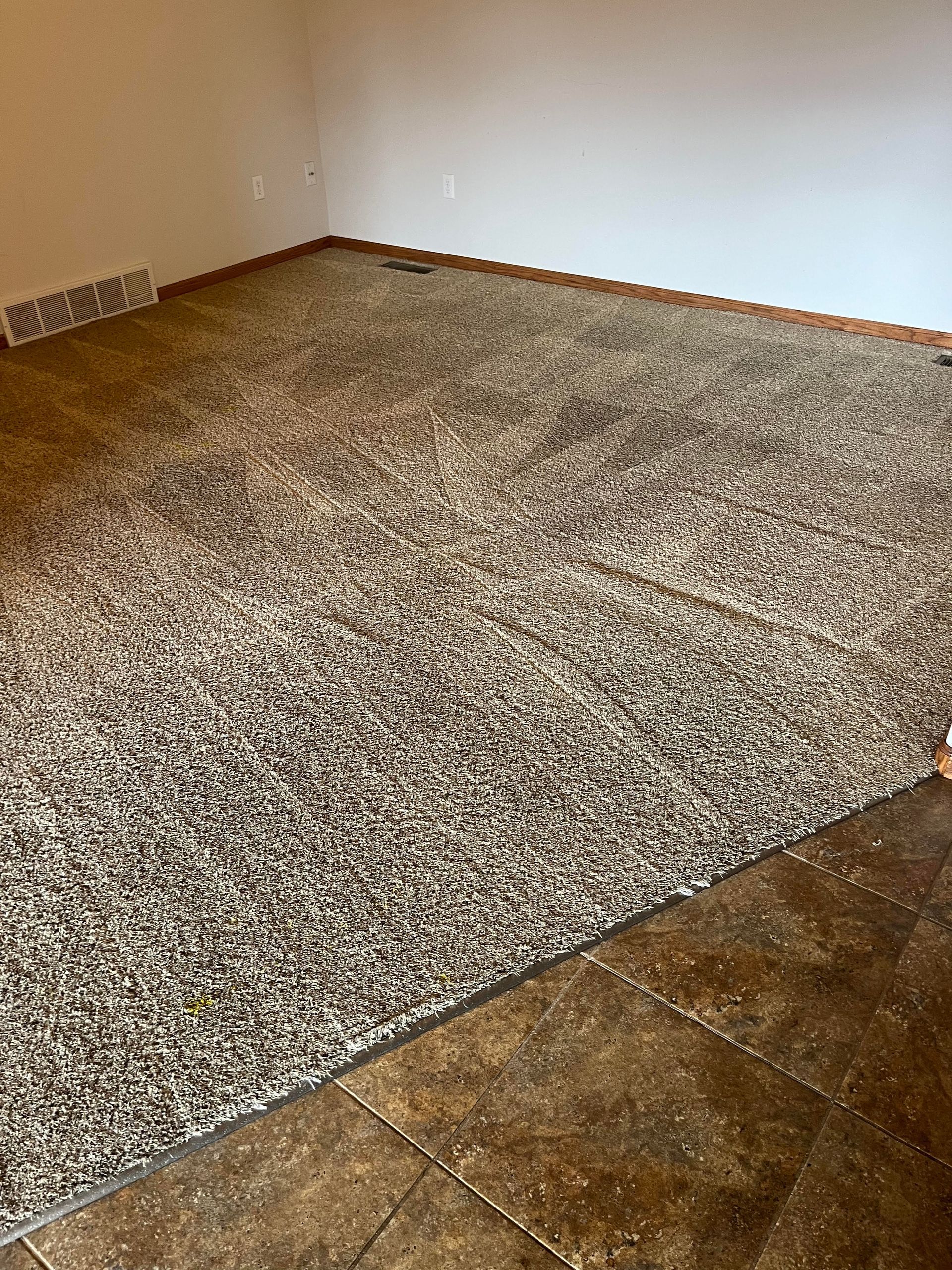 A living room with a large carpet and tile floor.