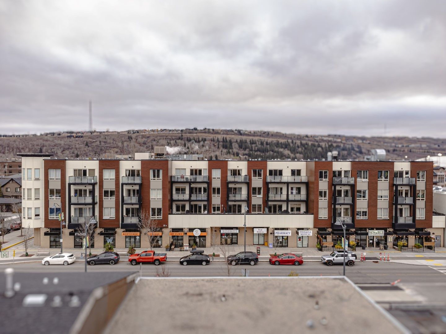 Montgomery Place