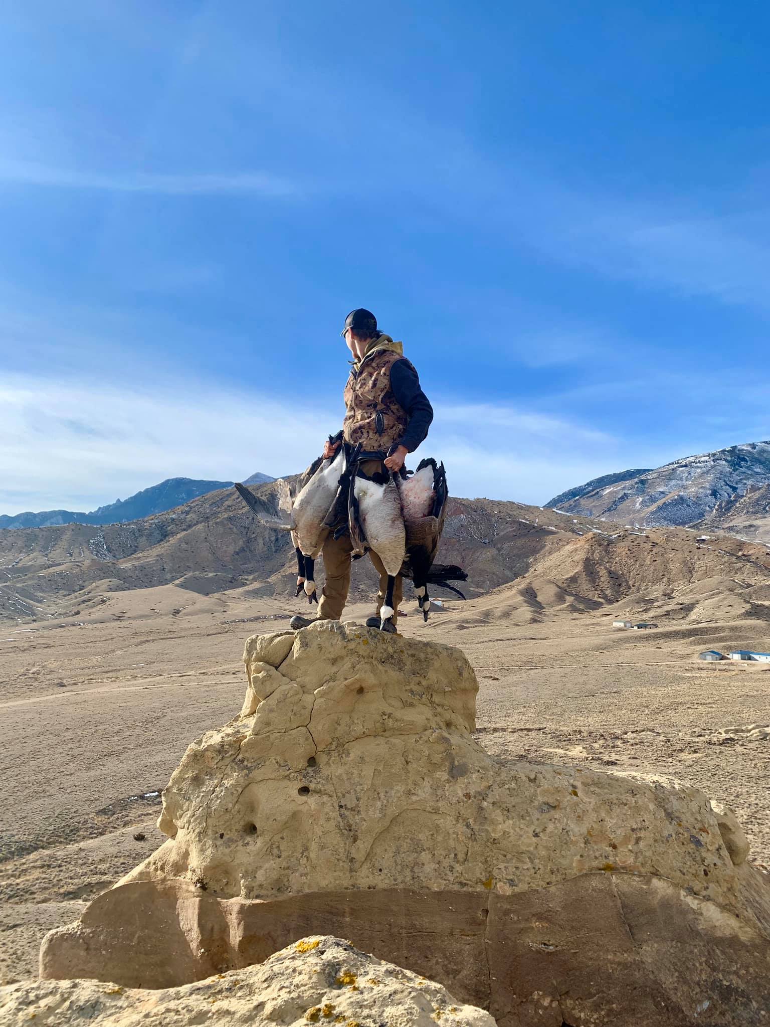 Wyoming Goose Hunting Guide & Outfitter for Goose Hunts