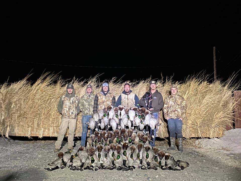 goose hunt