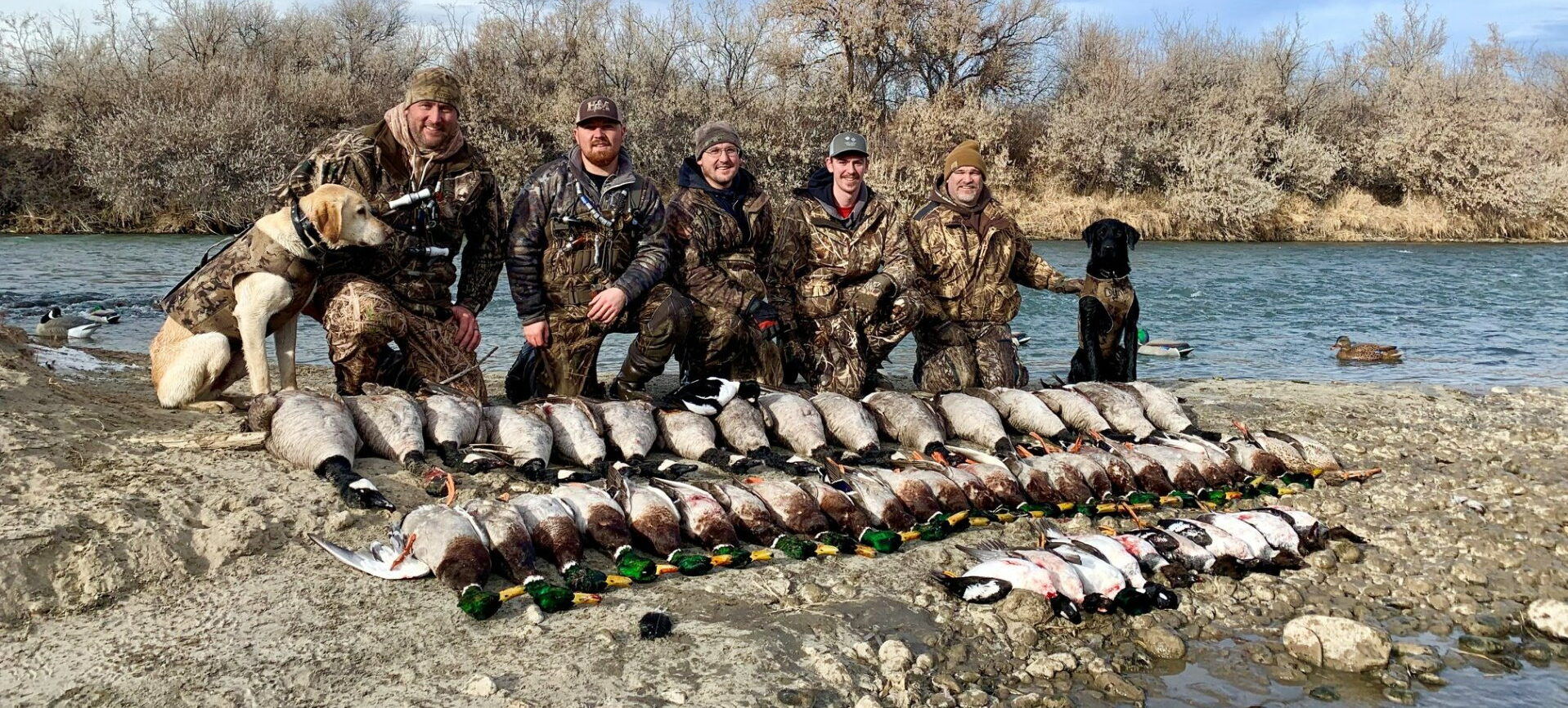waterfowl river hunting