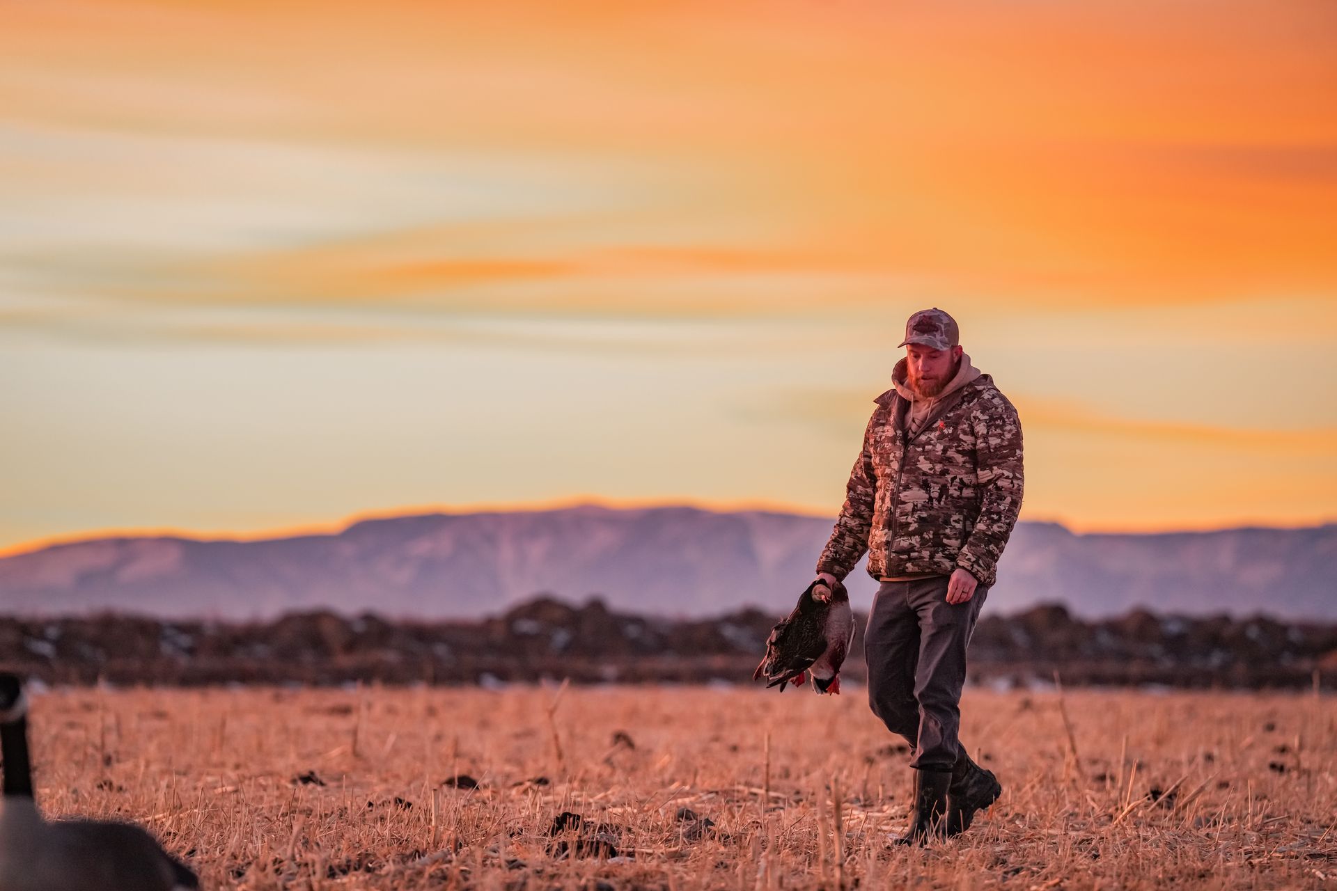 A man in a camouflage jacket is walking through a field at sunset.