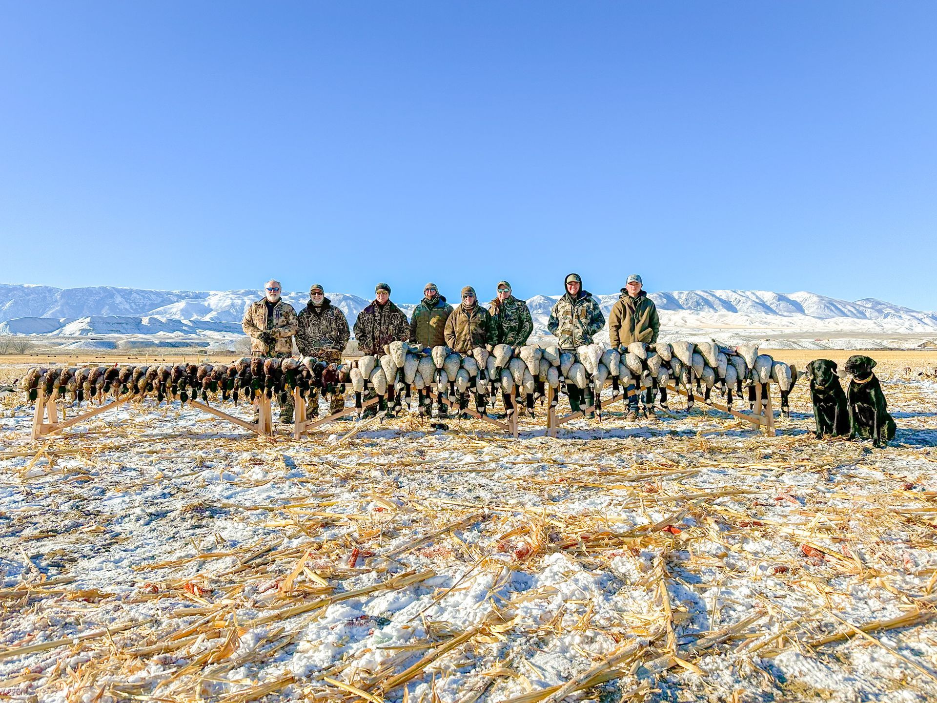 Wyoming Canada Goose Hunting