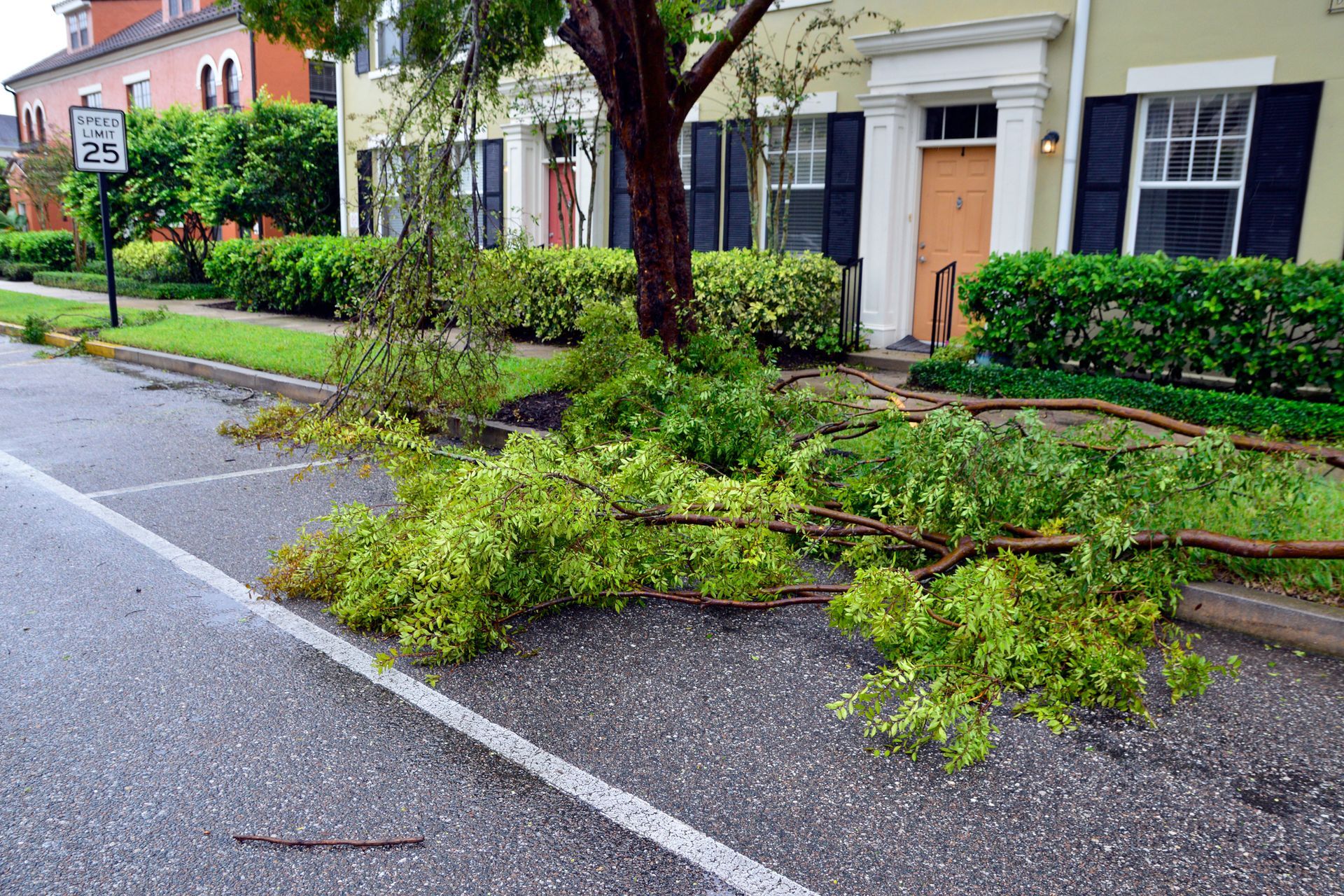 A fallen tree is being removed by a machine in a yard