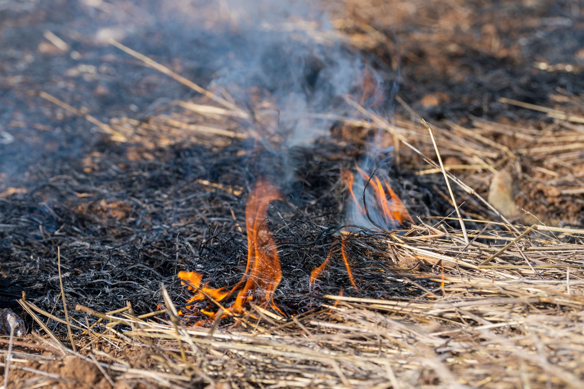 A photo of burning grass