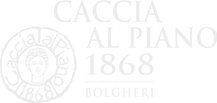 logo caccia al piano 1868