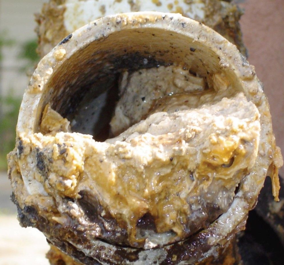 A close-up view of a PVC pipe nearly blocked by a thick, beige-colored buildup of grease and waste deposits.