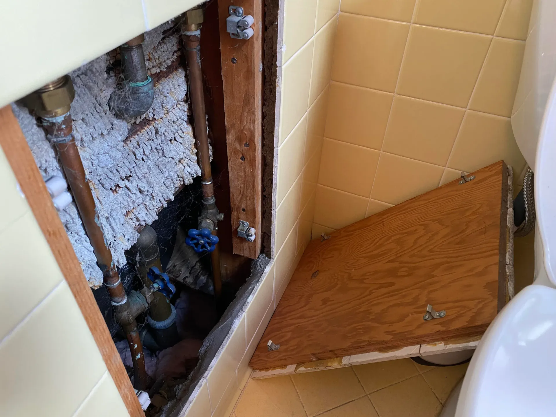Plumbing Access Panel