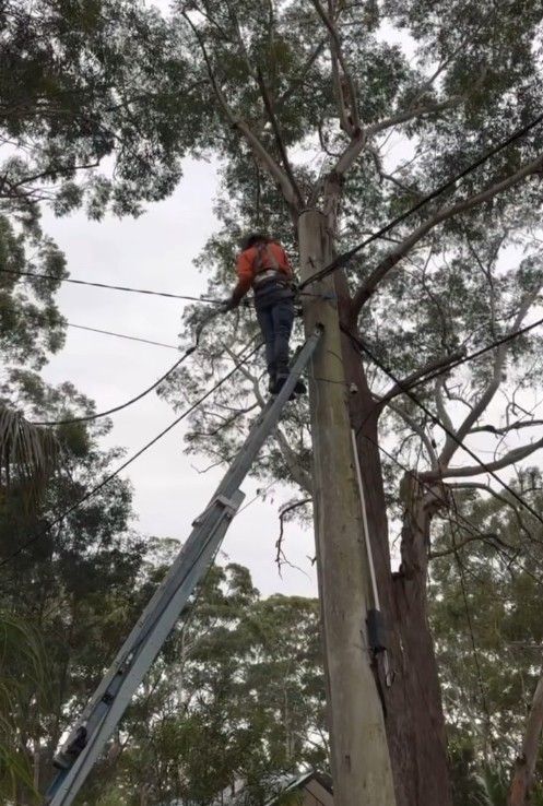 Worker in Orange Shirt Standing on A Ladder Trimming Tree Branches — SRB Electrical Contracting Pty Ltd In Davistown, NSW