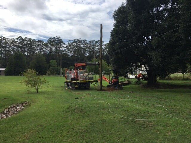 Orange Tractor Parked on A Grassy Field Near a Large Tree — SRB Electrical Contracting Pty Ltd In Davistown, NSW