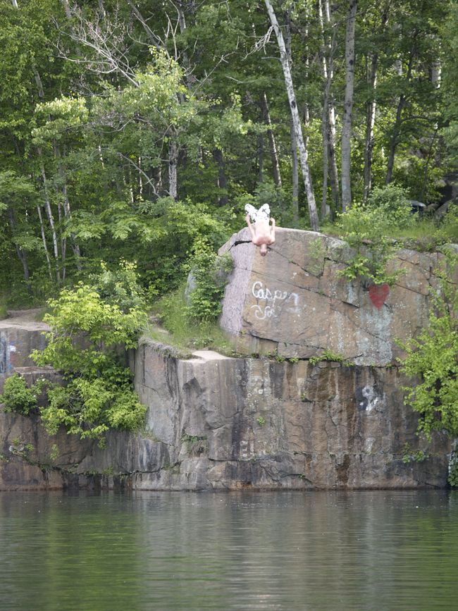 White dog on a rocky cliff above calm water, with green trees in the background