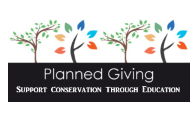 Logo featuring two stylized trees with colorful leaves over the words