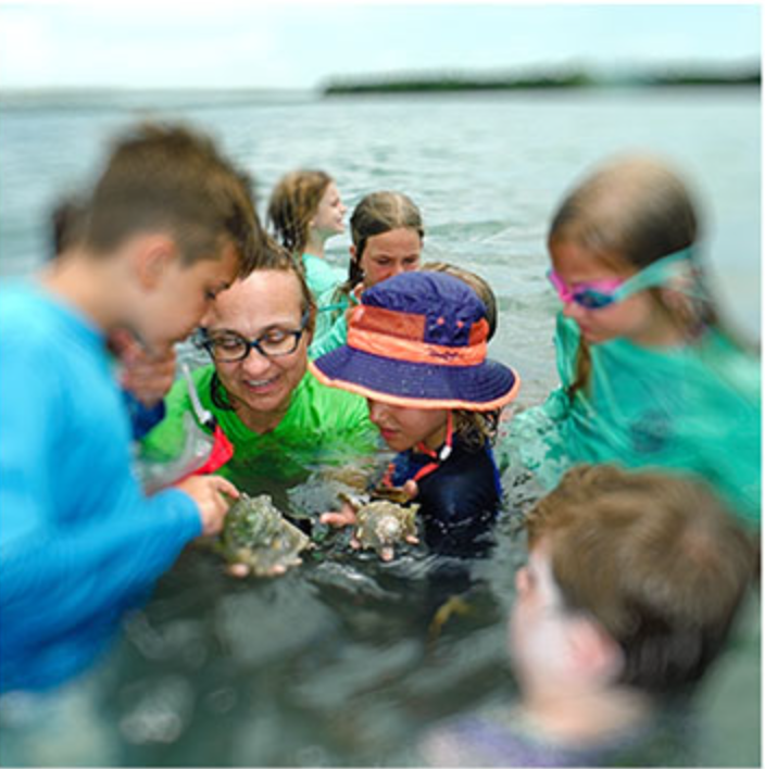Children wearing snorkel gear gather around a marine creature in shallow water.