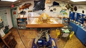 Small classroom lab with a wooden table, glass dome display, blue shelves, and fish models on the walls.