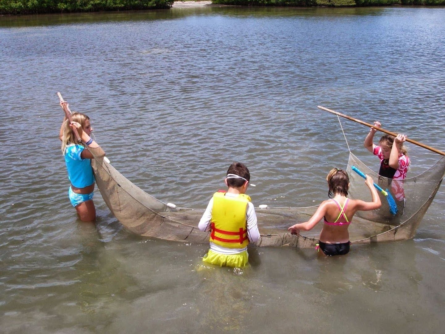 Four people in swimsuits pulling a fishing net in shallow water near a shoreline