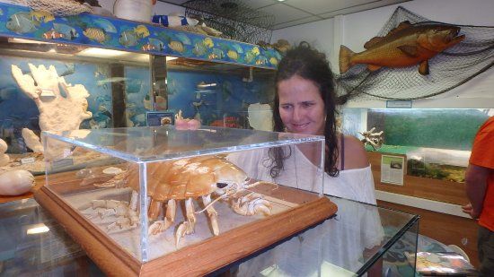 Woman viewing a lobster in a glass display at a seafood market