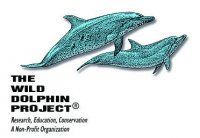 Two turquoise dolphins, one larger than the other, above text for the Wild Dolphin Project,