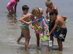 Children using nets to catch small fish in shallow water beside a bucket