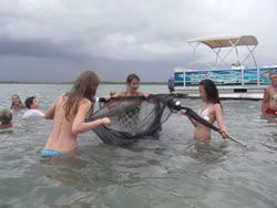 People in shallow water handling a large fishing net near a dock under a cloudy sky