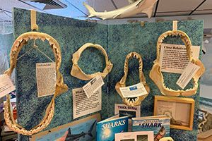 Woven straw craft display with hanging framed pieces and a small sign on a table at a fair.
