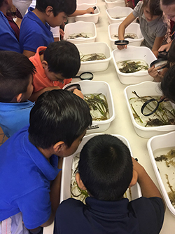 Children eating from white trays at a communal meal setting