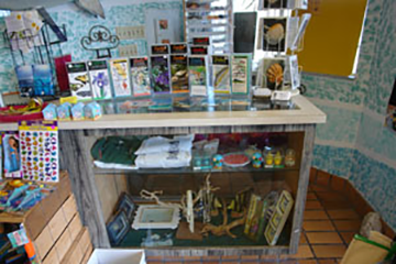 Small gift shop counter with greeting cards, souvenirs, and trinkets displayed in a tiled interior.