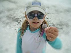 Person in white cap and sunglasses holding a seashell on a snowy beach
