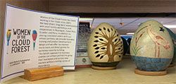Women in Cloud Forest exhibit sign beside two decorated bird eggs on display