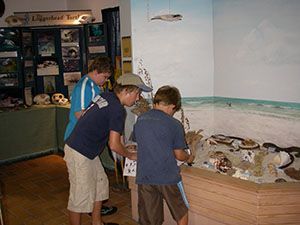 Three children lean over a display case in a museum exhibit room.