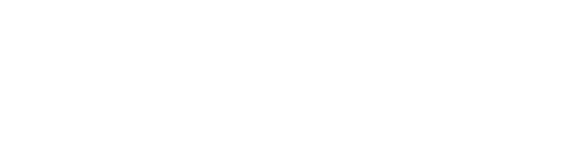 logo-image