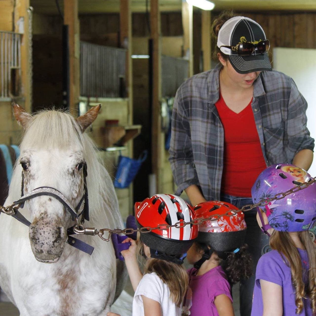 Accueil | La crinière d’or