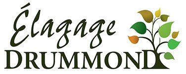 Un logo pour une entreprise appelée elagage drummond avec une branche d'arbre et des feuilles.