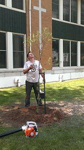 Un homme se tient à côté d'un arbre devant un bâtiment.