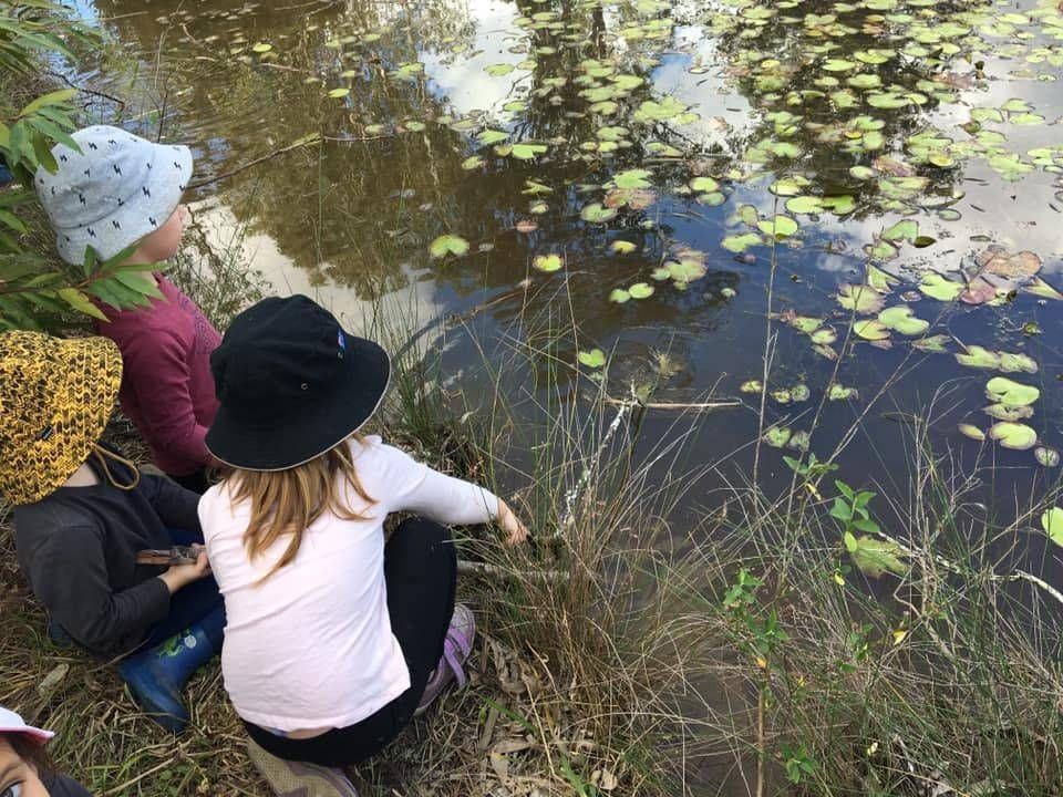 Two children sit by a pond with lily pads, looking into the water.