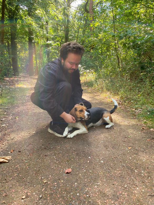 Een man hurkt neer en aait een zwart-wit-bruine hond op een bospad in het gefilterde zonlicht.