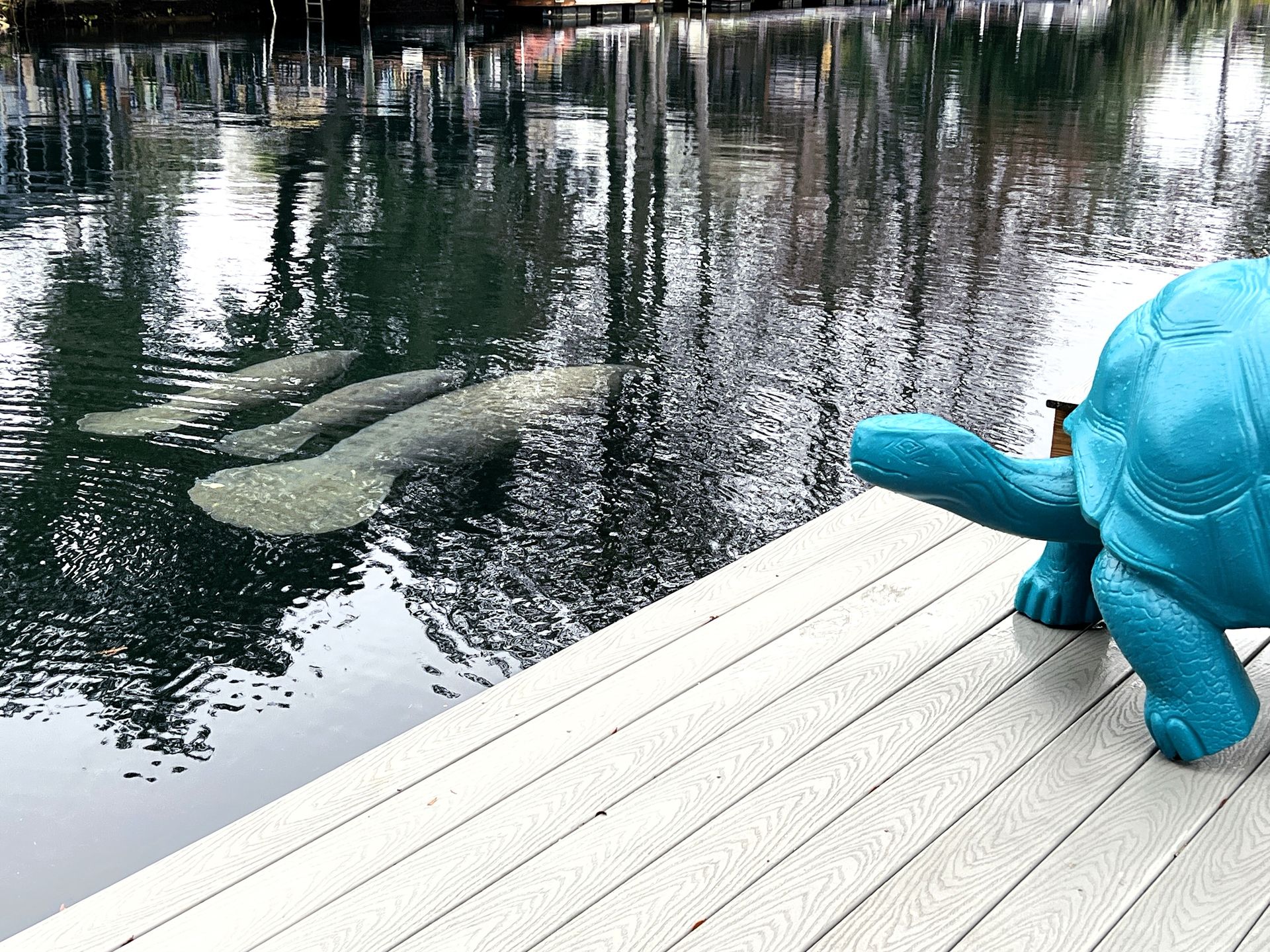 Teal Turtle – Fire Pit, Water Toys & Near Main River | Experience Weeki