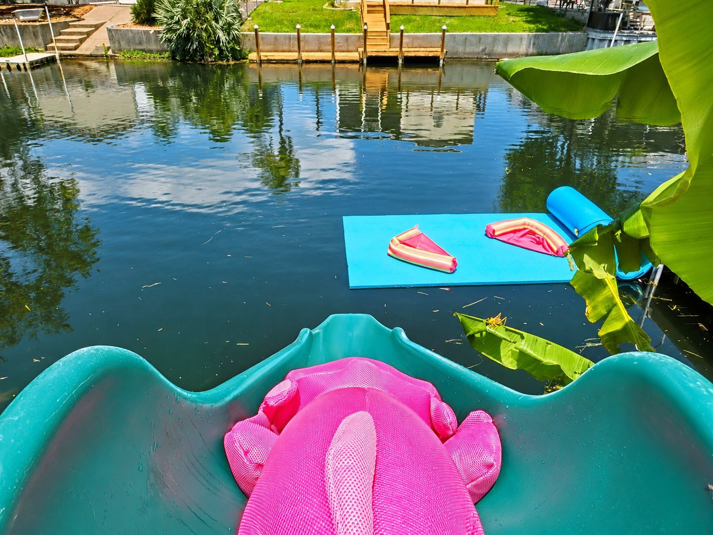 Fun Flamingo