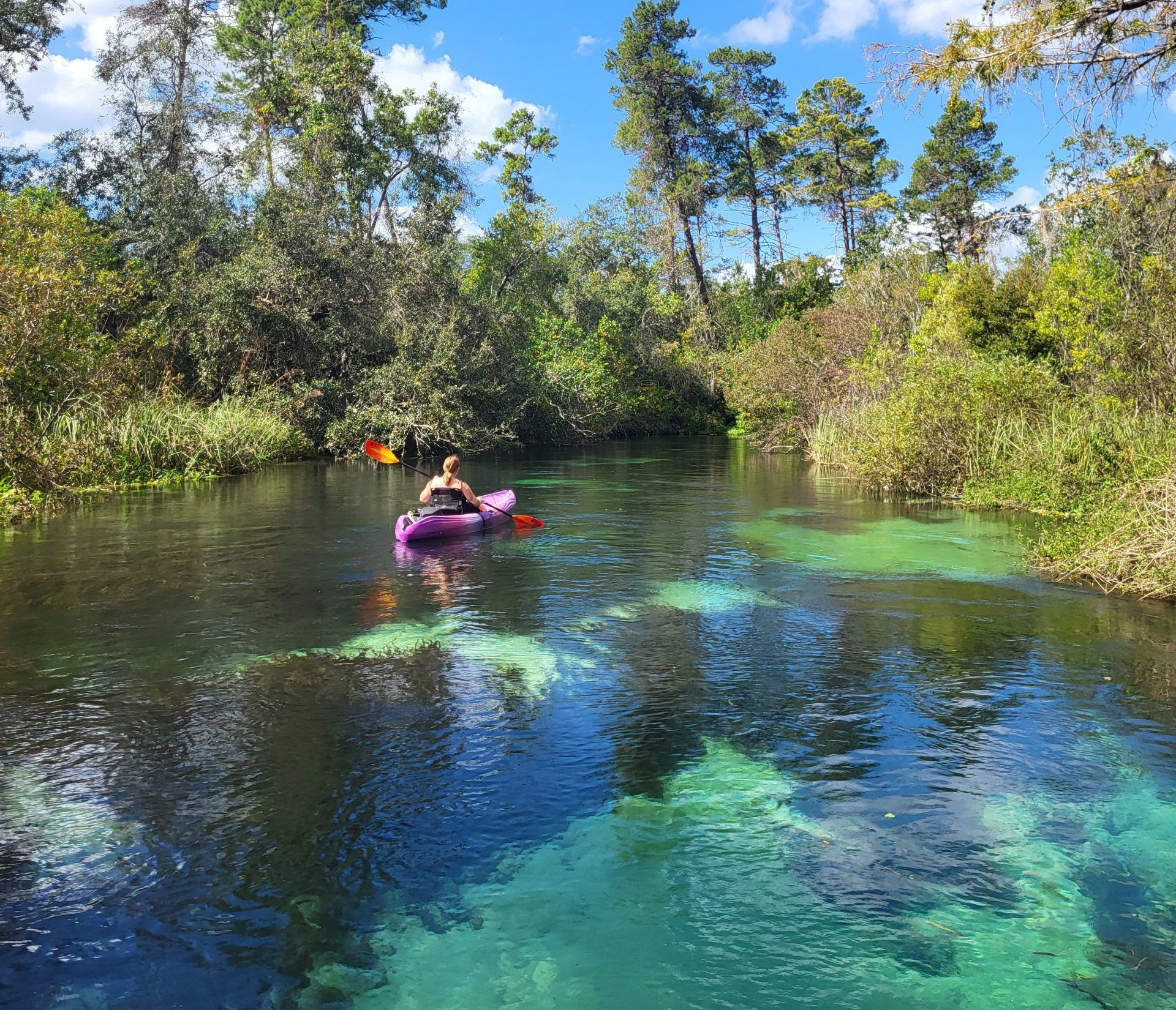 Weeki Wachee river kayaking