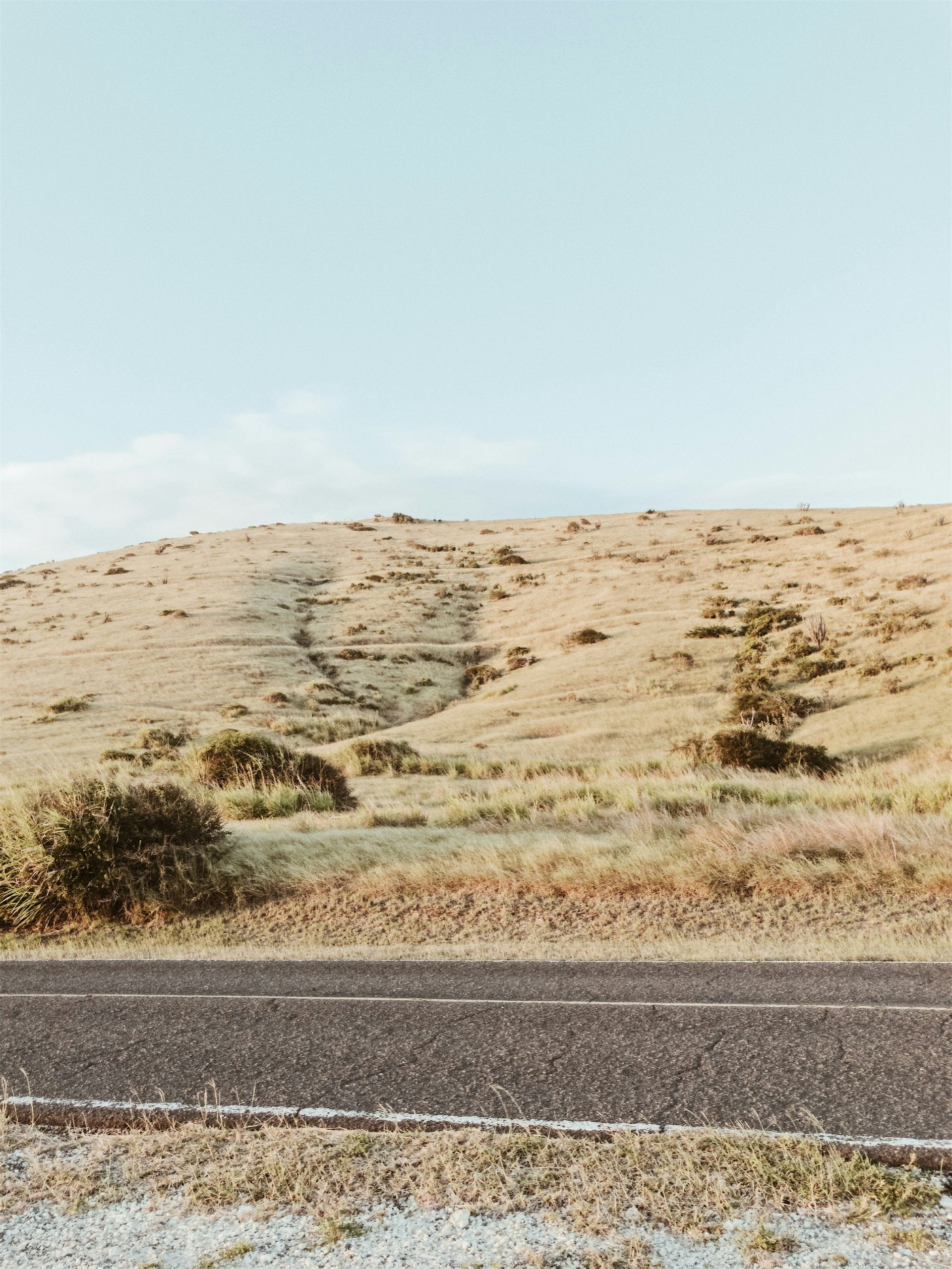 Dry grassy hills under a pale sky beside a paved road