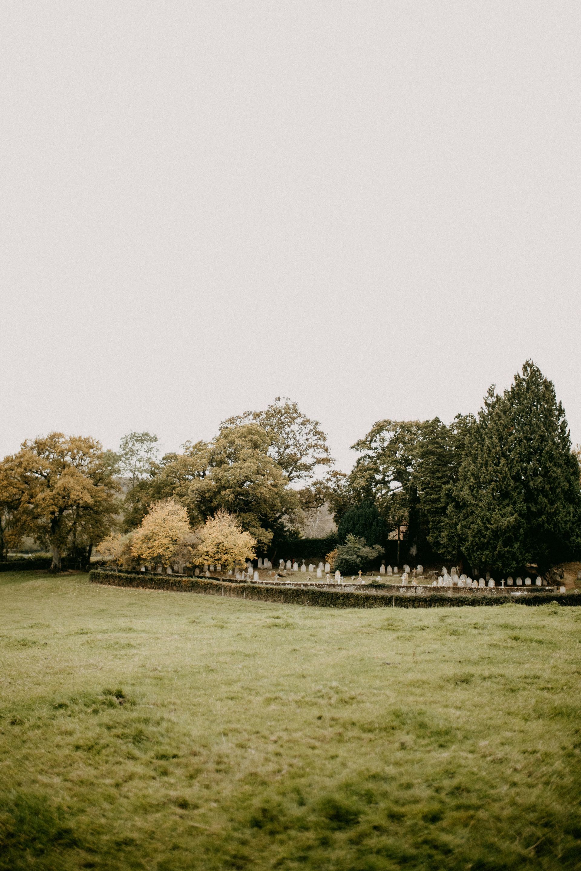 Grassy field with a row of autumn trees under an overcast sky