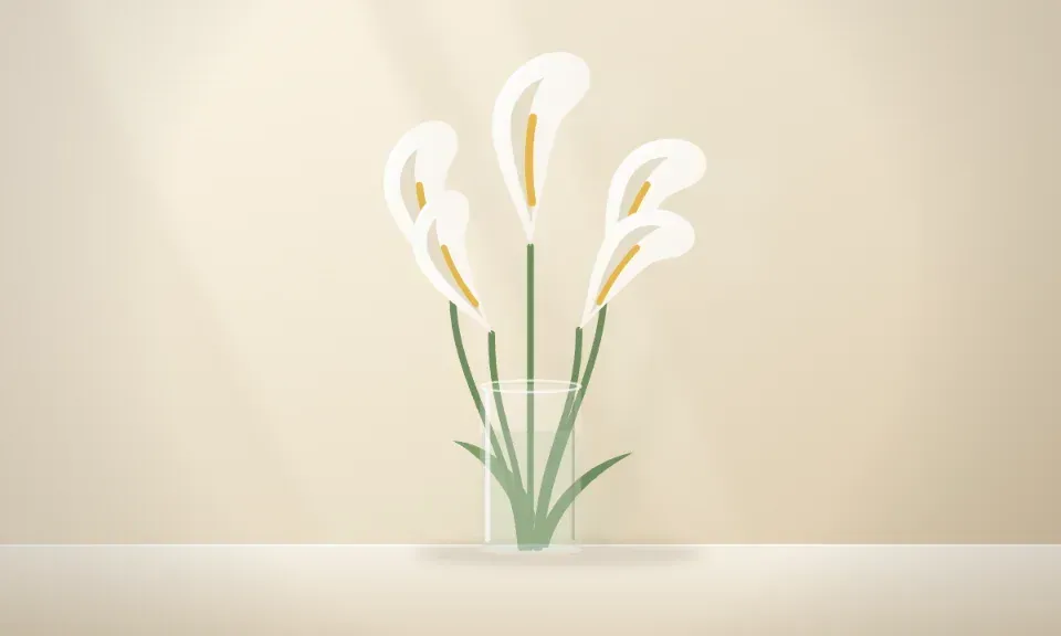 White calla lilies in a glass vase in soft window light