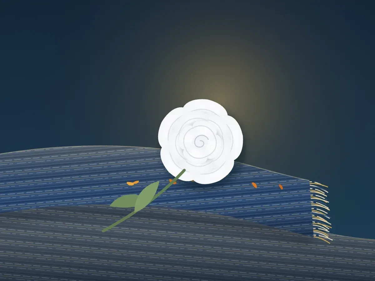 Una rosa blanca sobre un rebozo doblado, con luz cálida