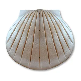 Shell Urn from Caring Cremations
