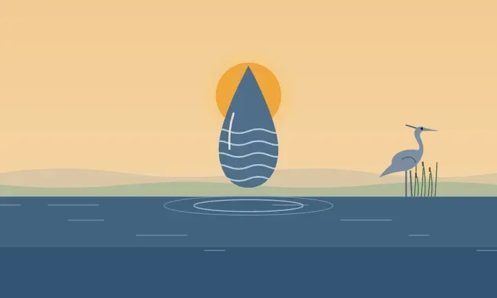 Illustration of a water drop over calm water, with a heron by the water on the horizon