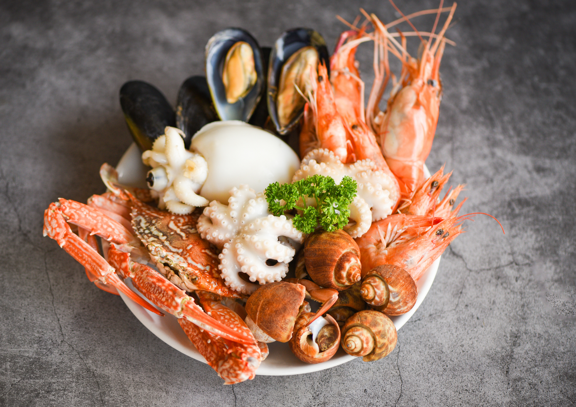 Plateau de fruits de mer avec pattes de crabe, crevettes, moules, calamars et escargots sur une assiette blanche