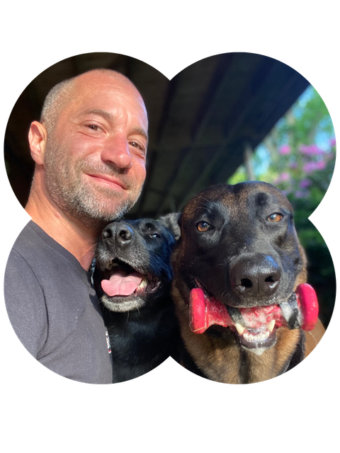 island ny, lola dogsbrian viola, best dog trainer in long